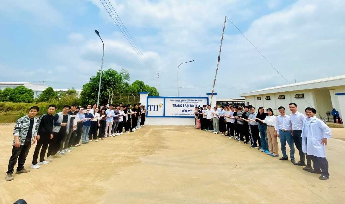 Media\2011_nln.hdu.edu.vn\FolderFunc\202505\Images/3-20250530032709-e.jpg